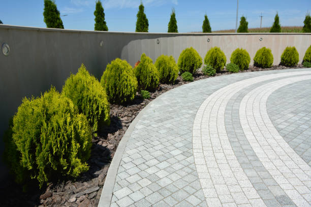 Best Driveway Paving Contractor  in Bogalusa, LA